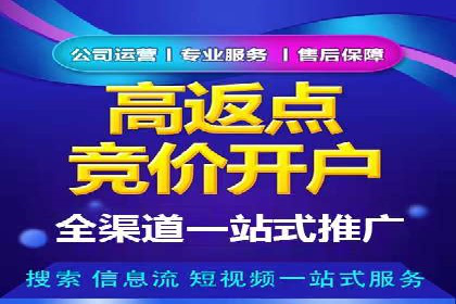 推广竞价策略优化：借鉴经典案例提升效果