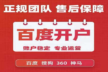 互联网公司SEM代运营成功案例剖析